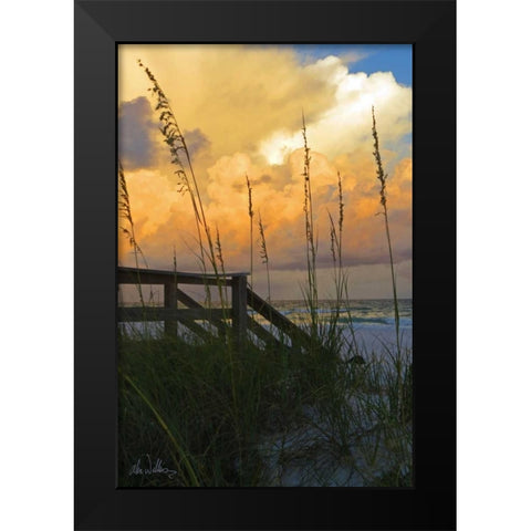 Majestic Coast I Black Modern Wood Framed Art Print by Williams, Alex