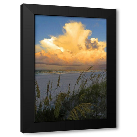 Majestic Coast II Black Modern Wood Framed Art Print by Williams, Alex