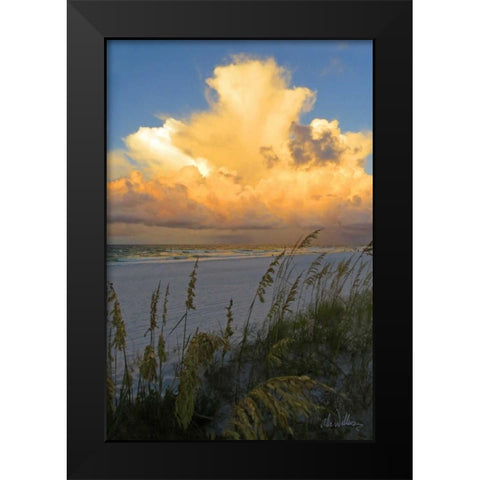 Majestic Coast II Black Modern Wood Framed Art Print by Williams, Alex