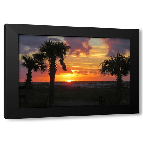 Sunset Palms I Black Modern Wood Framed Art Print by Williams, Alex