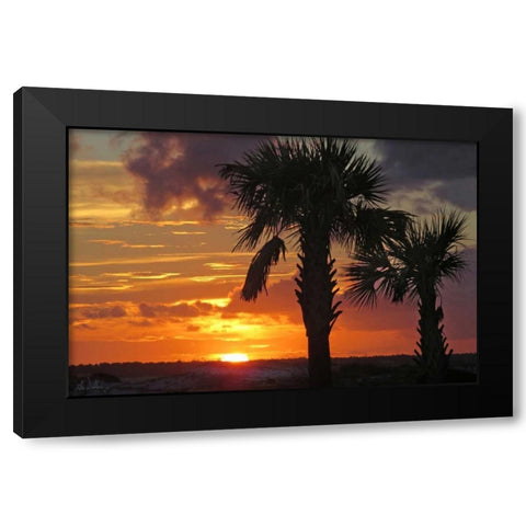 Sunset Palms II Black Modern Wood Framed Art Print by Williams, Alex
