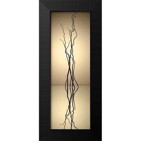 Still Life Reflections IV Black Modern Wood Framed Art Print by Burkhart, Monika