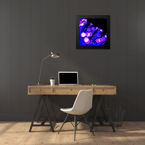 Moon Drops I Black Modern Wood Framed Art Print by Burkhart, Monika