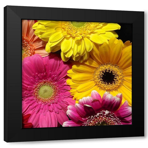 Spring Potpourri I Black Modern Wood Framed Art Print with Double Matting by Burkhart, Monika