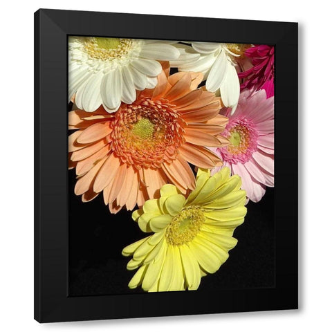 Spring Potpourri III Black Modern Wood Framed Art Print by Burkhart, Monika
