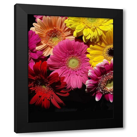 Spring Potpourri IV Black Modern Wood Framed Art Print with Double Matting by Burkhart, Monika