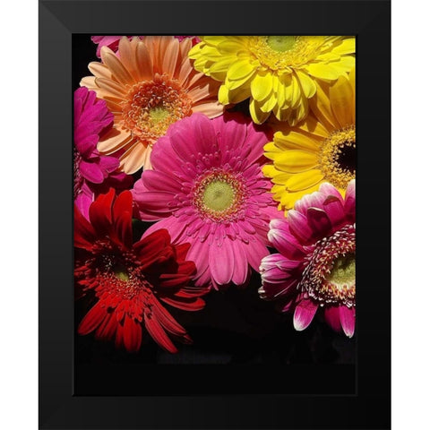 Spring Potpourri IV Black Modern Wood Framed Art Print by Burkhart, Monika