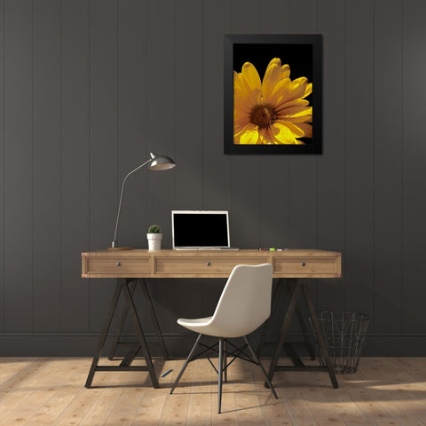 Sun Sparkled III Black Modern Wood Framed Art Print by Burkhart, Monika