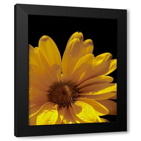 Sun Sparkled III Black Modern Wood Framed Art Print with Double Matting by Burkhart, Monika