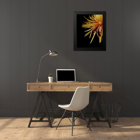 Sun Dance III Black Modern Wood Framed Art Print by Burkhart, Monika