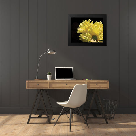 Yellow Daisy II Black Modern Wood Framed Art Print by Burkhart, Monika