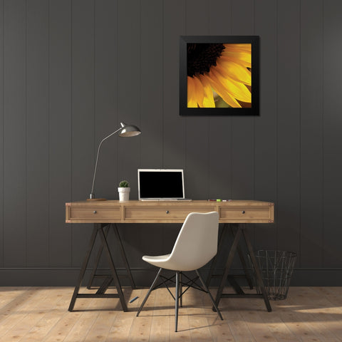 Sunlit Sunfloweres VI Black Modern Wood Framed Art Print by Burkhart, Monika