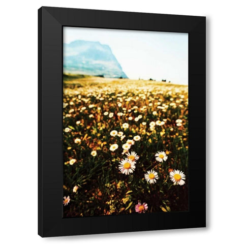 Mountain Summer I Black Modern Wood Framed Art Print with Double Matting by Berzel, Erin