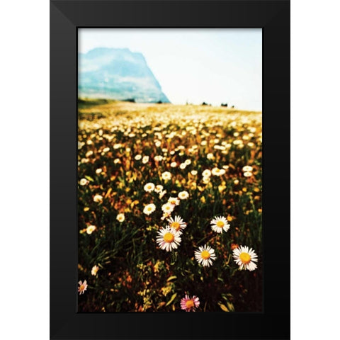 Mountain Summer I Black Modern Wood Framed Art Print by Berzel, Erin