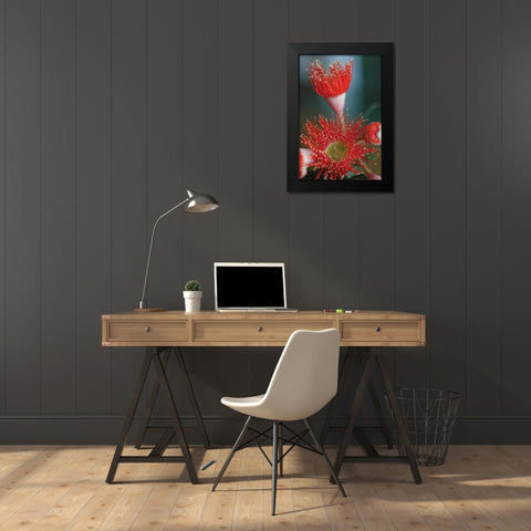 Summer Bloom XII Black Modern Wood Framed Art Print by Berzel, Erin