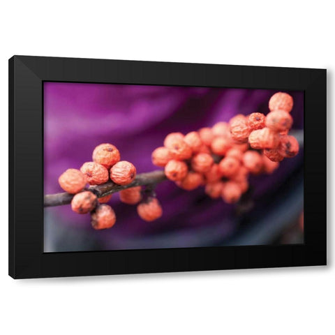 Wild Berries I Black Modern Wood Framed Art Print by Berzel, Erin