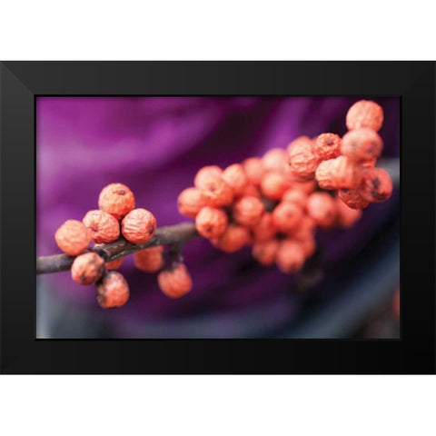Wild Berries I Black Modern Wood Framed Art Print by Berzel, Erin