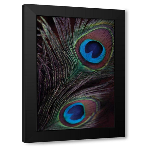 Peacock Feathers I Black Modern Wood Framed Art Print with Double Matting by Berzel, Erin