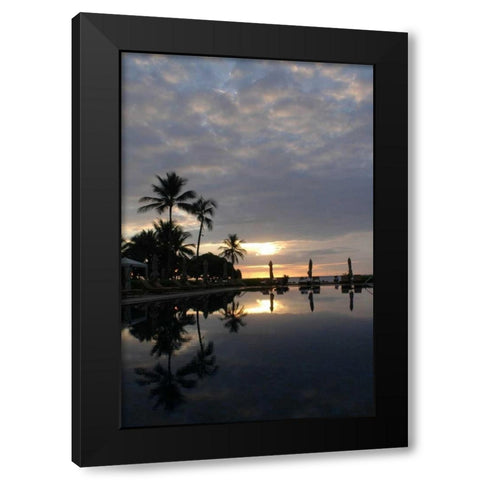 Tropical Paradise Black Modern Wood Framed Art Print with Double Matting by Berzel, Erin