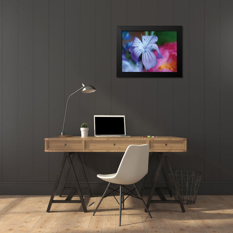 Delicate Flower I Black Modern Wood Framed Art Print by Berzel, Erin