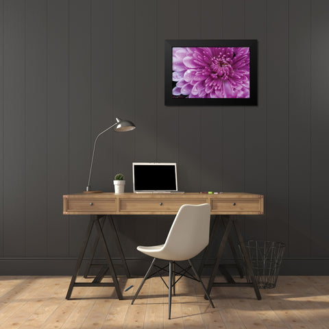 Purple Mum I Black Modern Wood Framed Art Print by Berzel, Erin