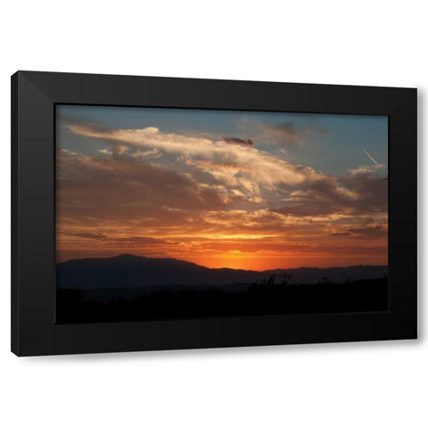 Sunset in Joshua Tree I Black Modern Wood Framed Art Print with Double Matting by Berzel, Erin