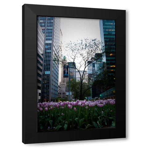 Tulips in Manhattan Black Modern Wood Framed Art Print by Berzel, Erin
