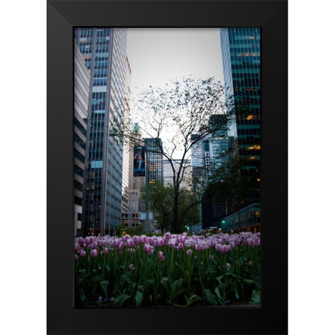 Tulips in Manhattan Black Modern Wood Framed Art Print by Berzel, Erin