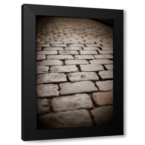 Stone Path III Black Modern Wood Framed Art Print with Double Matting by Berzel, Erin