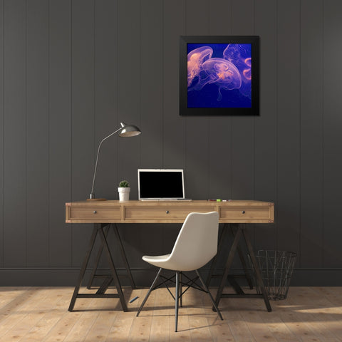 Jellyfish Dance I Black Modern Wood Framed Art Print by Crane, Rita