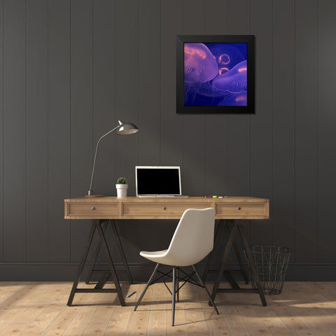 Jellyfish Dance II Black Modern Wood Framed Art Print by Crane, Rita