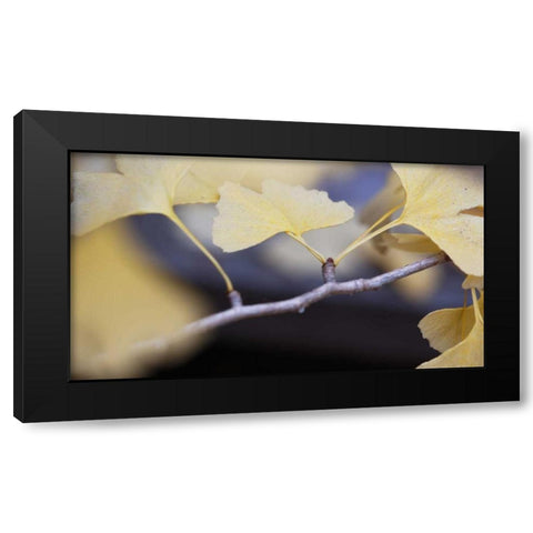 Autumn Gingko I Black Modern Wood Framed Art Print by Crane, Rita