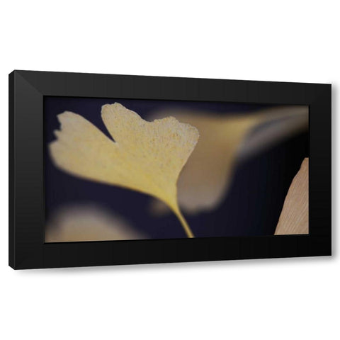 Autumn Gingko II Black Modern Wood Framed Art Print with Double Matting by Crane, Rita