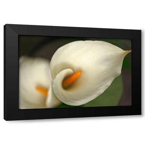 Calla Lilies V Black Modern Wood Framed Art Print with Double Matting by Crane, Rita