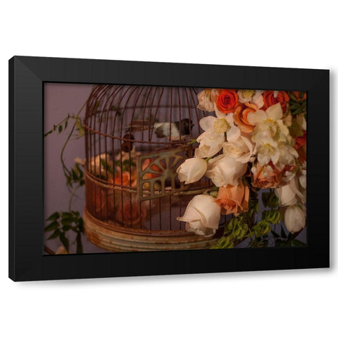 Flowers and Bird Cage II Black Modern Wood Framed Art Print with Double Matting by Crane, Rita