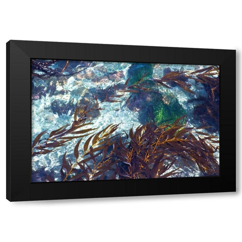 Mermaid Tresses I Black Modern Wood Framed Art Print by Crane, Rita