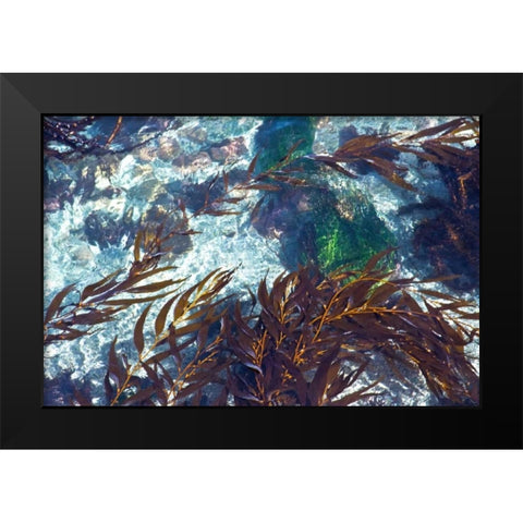 Mermaid Tresses I Black Modern Wood Framed Art Print by Crane, Rita