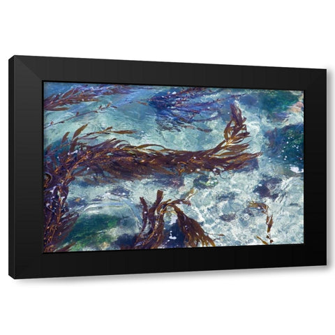 Mermaid Tresses II Black Modern Wood Framed Art Print with Double Matting by Crane, Rita