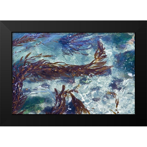 Mermaid Tresses II Black Modern Wood Framed Art Print by Crane, Rita