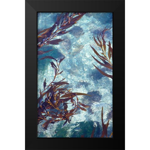 Mermaid Tresses IV Black Modern Wood Framed Art Print by Crane, Rita