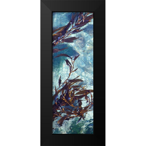 Mermaid Tresses VI Black Modern Wood Framed Art Print by Crane, Rita