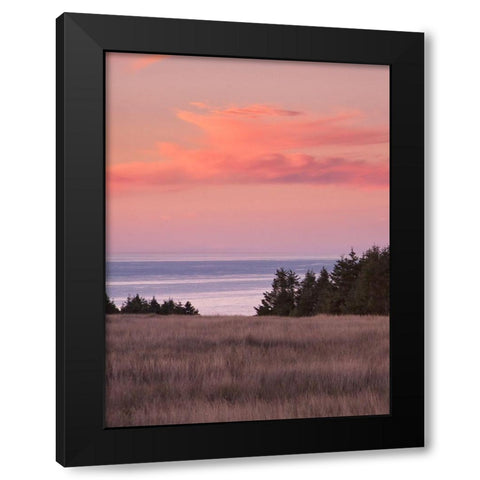 Rosy Coastal Sunset II Black Modern Wood Framed Art Print with Double Matting by Crane, Rita