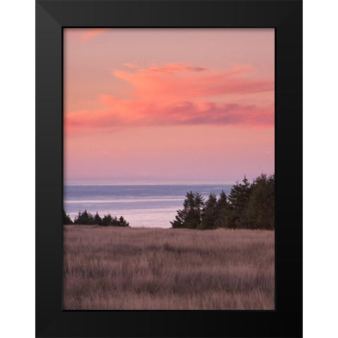 Rosy Coastal Sunset II Black Modern Wood Framed Art Print by Crane, Rita