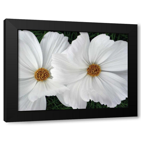 Cosmo Trail II Black Modern Wood Framed Art Print by Christensen, Jim