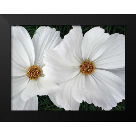 Cosmo Trail II Black Modern Wood Framed Art Print by Christensen, Jim
