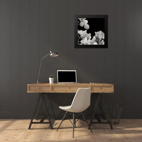 Flower Cluster 1 Black Modern Wood Framed Art Print by Christensen, Jim