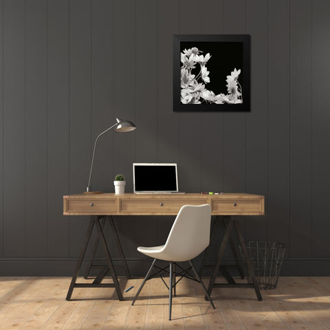 Flower Cluster 2 Black Modern Wood Framed Art Print by Christensen, Jim