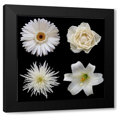 Flower Group 2 Black Modern Wood Framed Art Print by Christensen, Jim