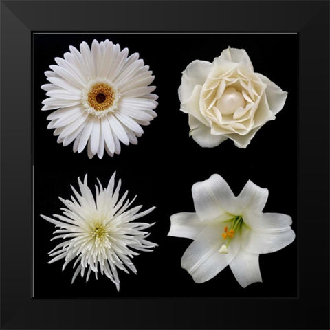 Flower Group 2 Black Modern Wood Framed Art Print by Christensen, Jim