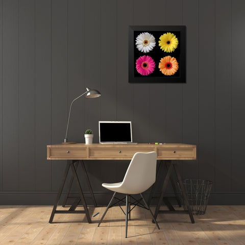Gerber Group 1 Black Modern Wood Framed Art Print by Christensen, Jim
